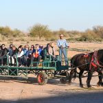 KOLI Hay Wagon Ride 8