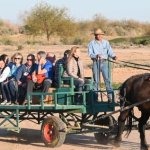 KOLI Hay Wagon Ride 8