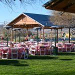 KOLI TABLES ON LAWN FOR DINNER 2