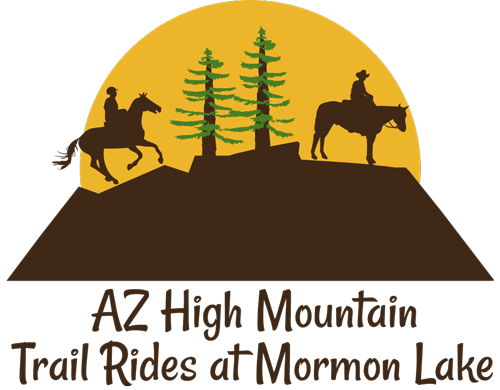 Looking for a cooler ride this summer?๐ฒ๐ด