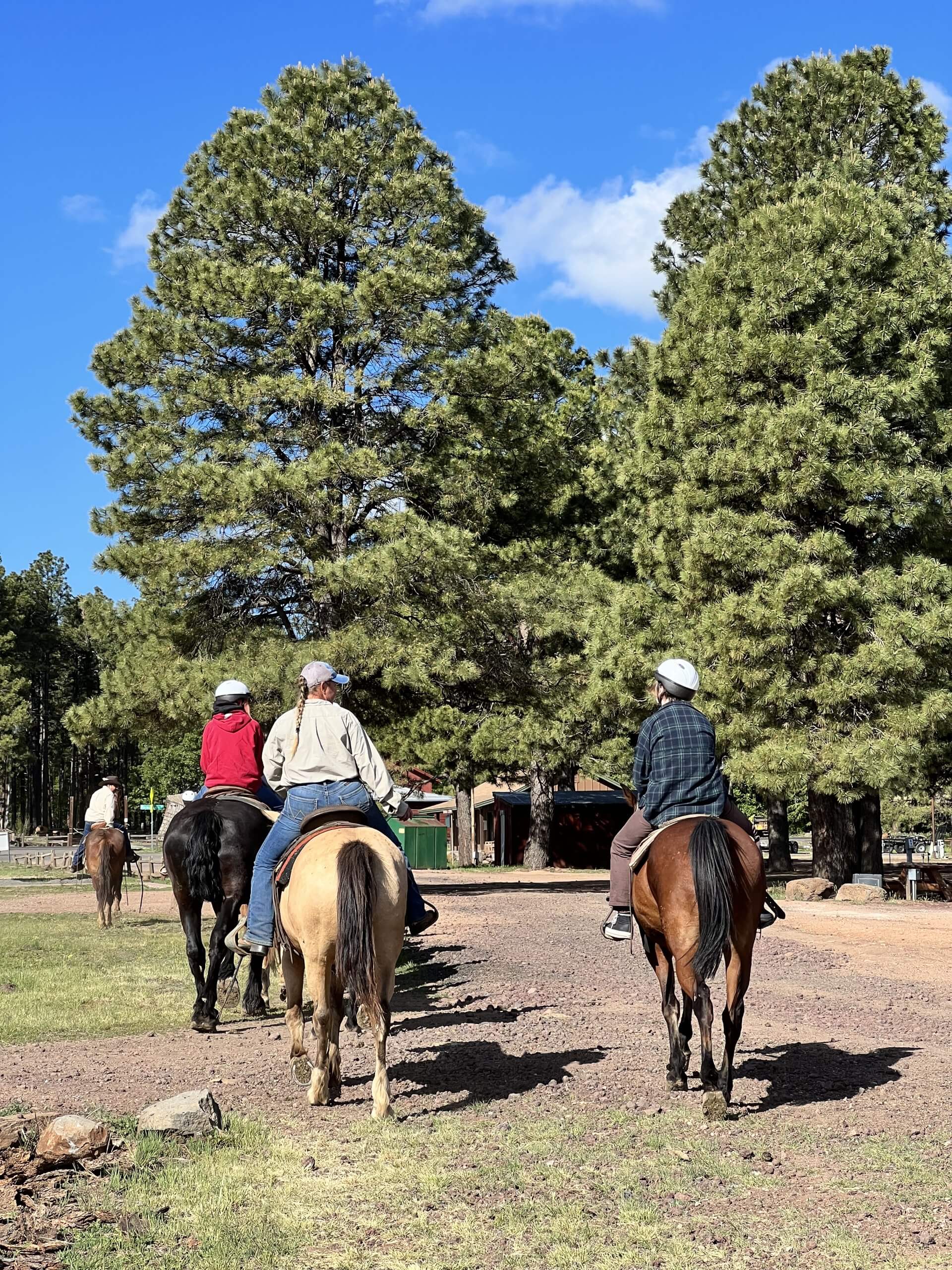 Ready to ride at Mormon Lake?