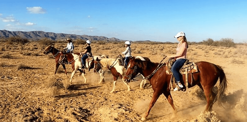 5 Unmissable Things to Do on Your Next Visit Near Phoenix, Arizona