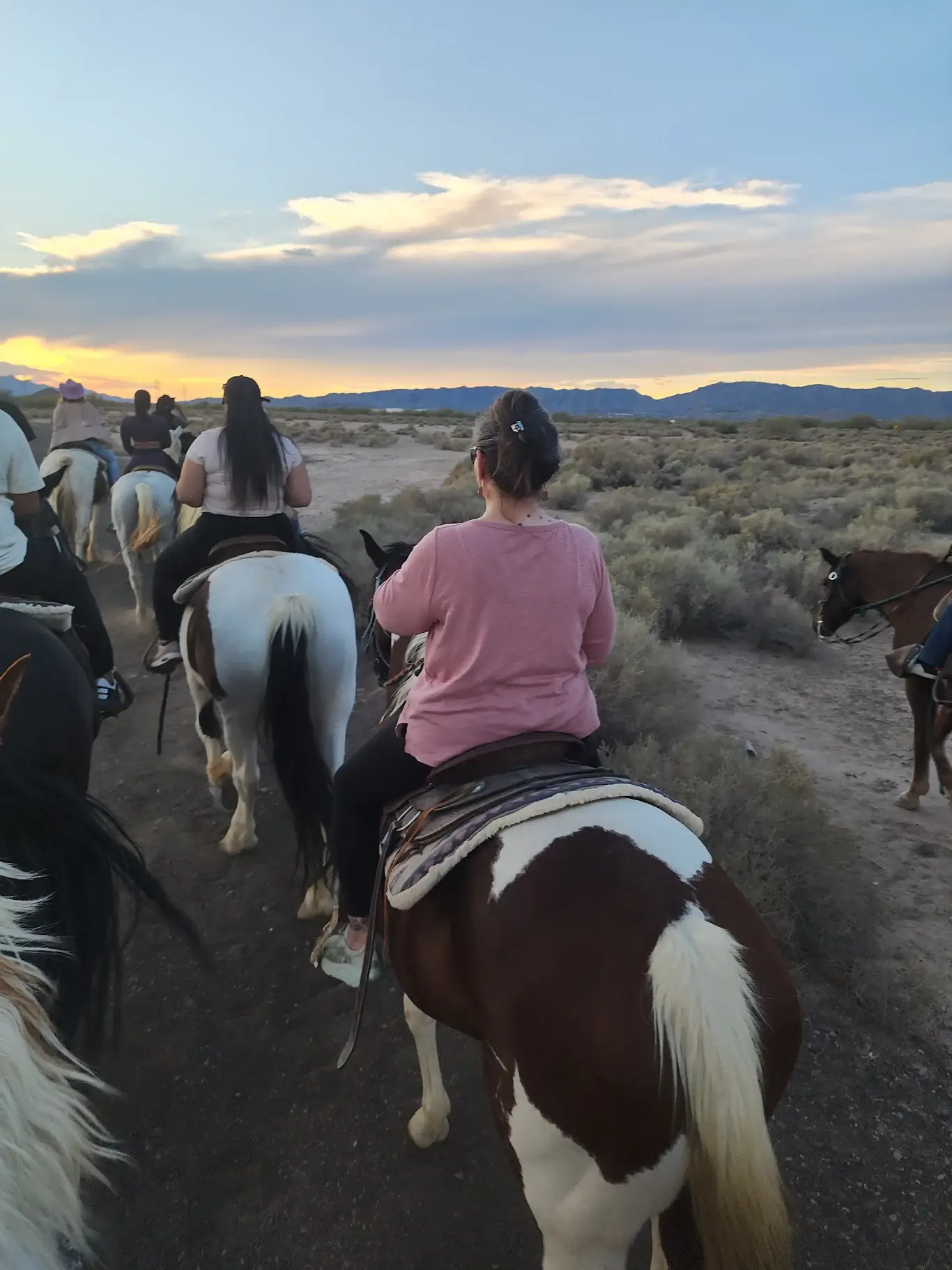 Where to horseback ride?