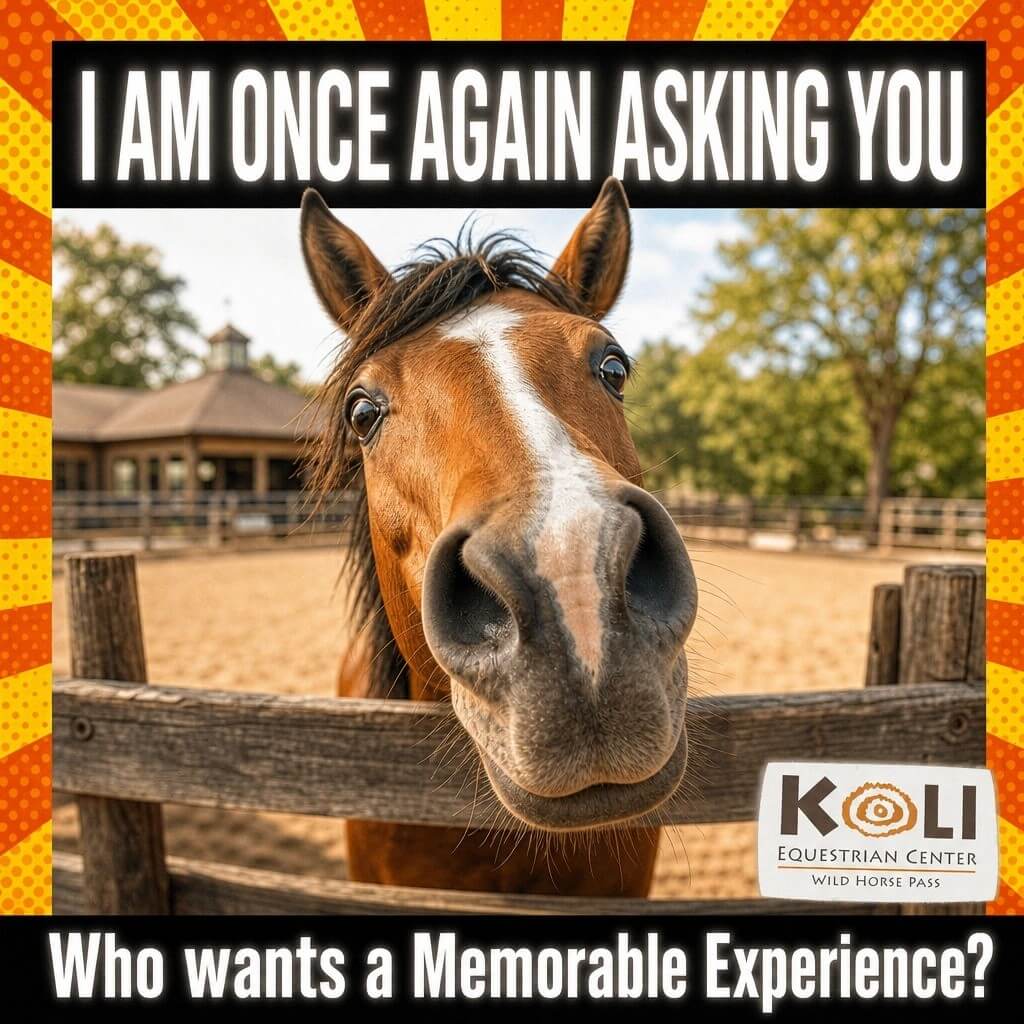 A Guide to Private Horseback Experiences